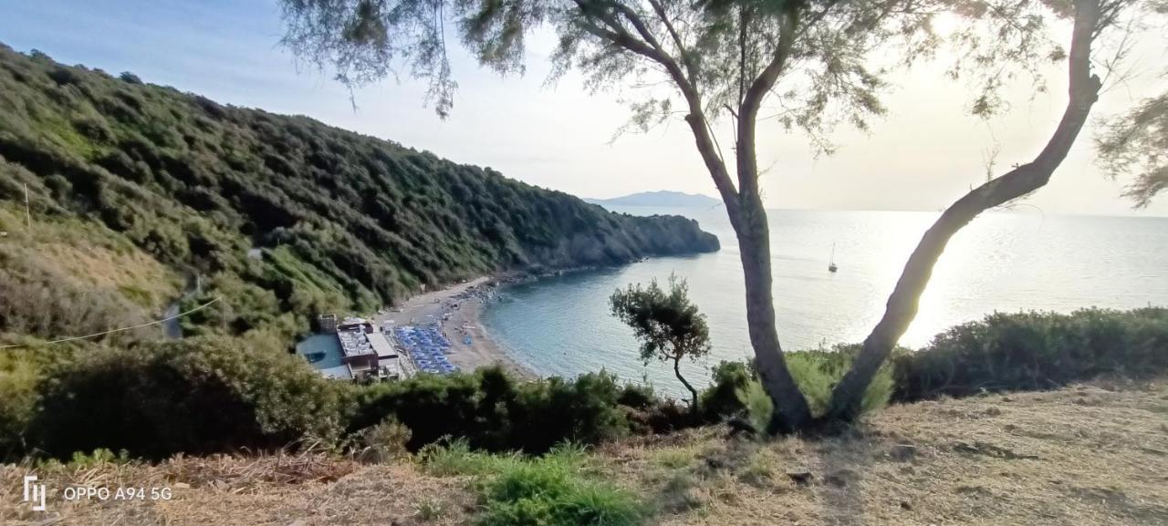 Appartement Casa In Giardino à Piombino Extérieur photo