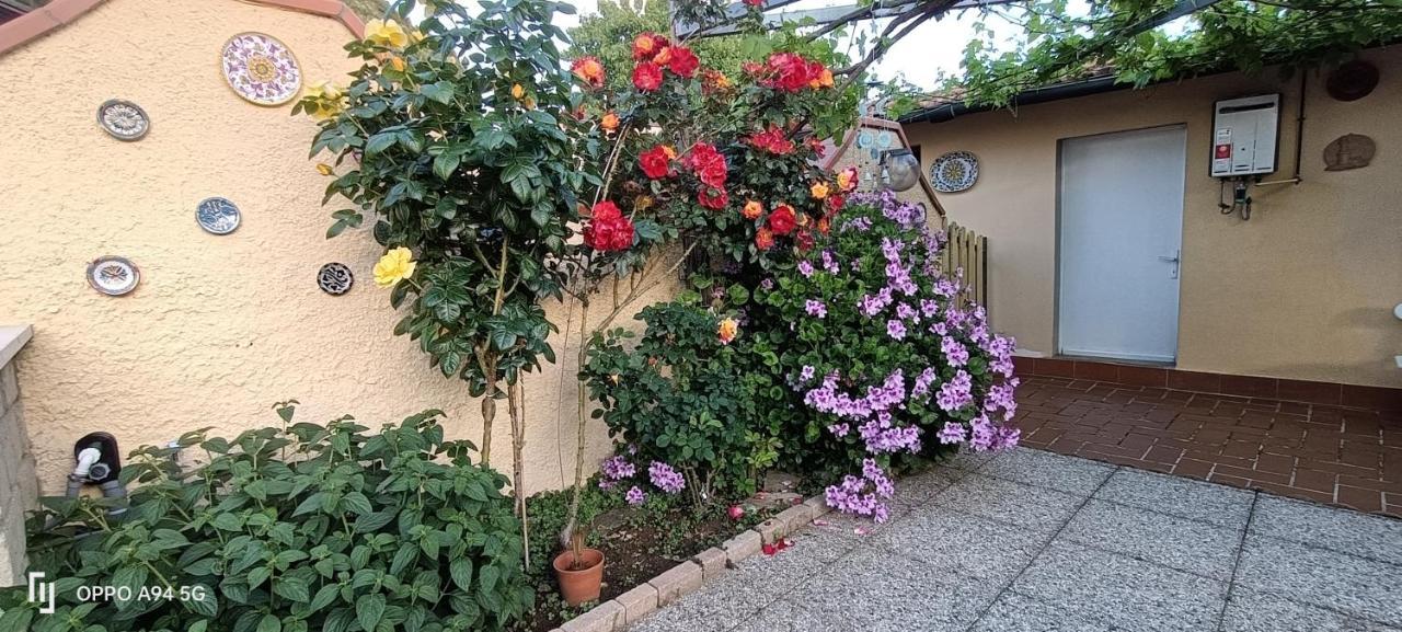 Appartement Casa In Giardino à Piombino Extérieur photo